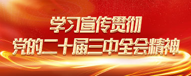 深入学习宣传贯彻党的十九届六中全会精神