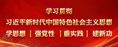 学习贯彻习近平新时代中国特色社会主义思想学思想|强党性|重实践|建新功